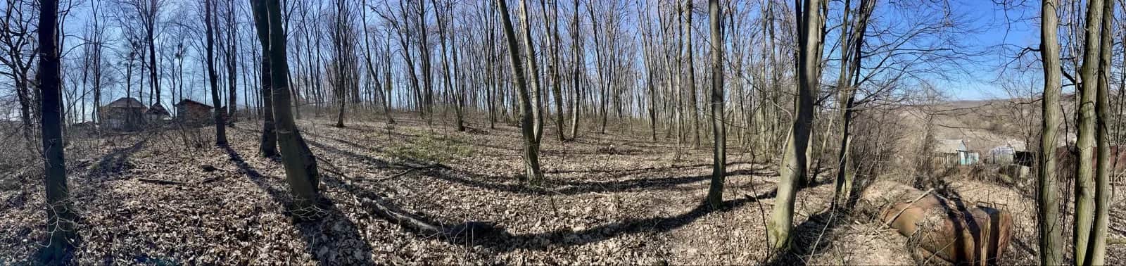 Ділянка 20 соток, Креничі: під забудову, асфальтований під’їзд - фото 2