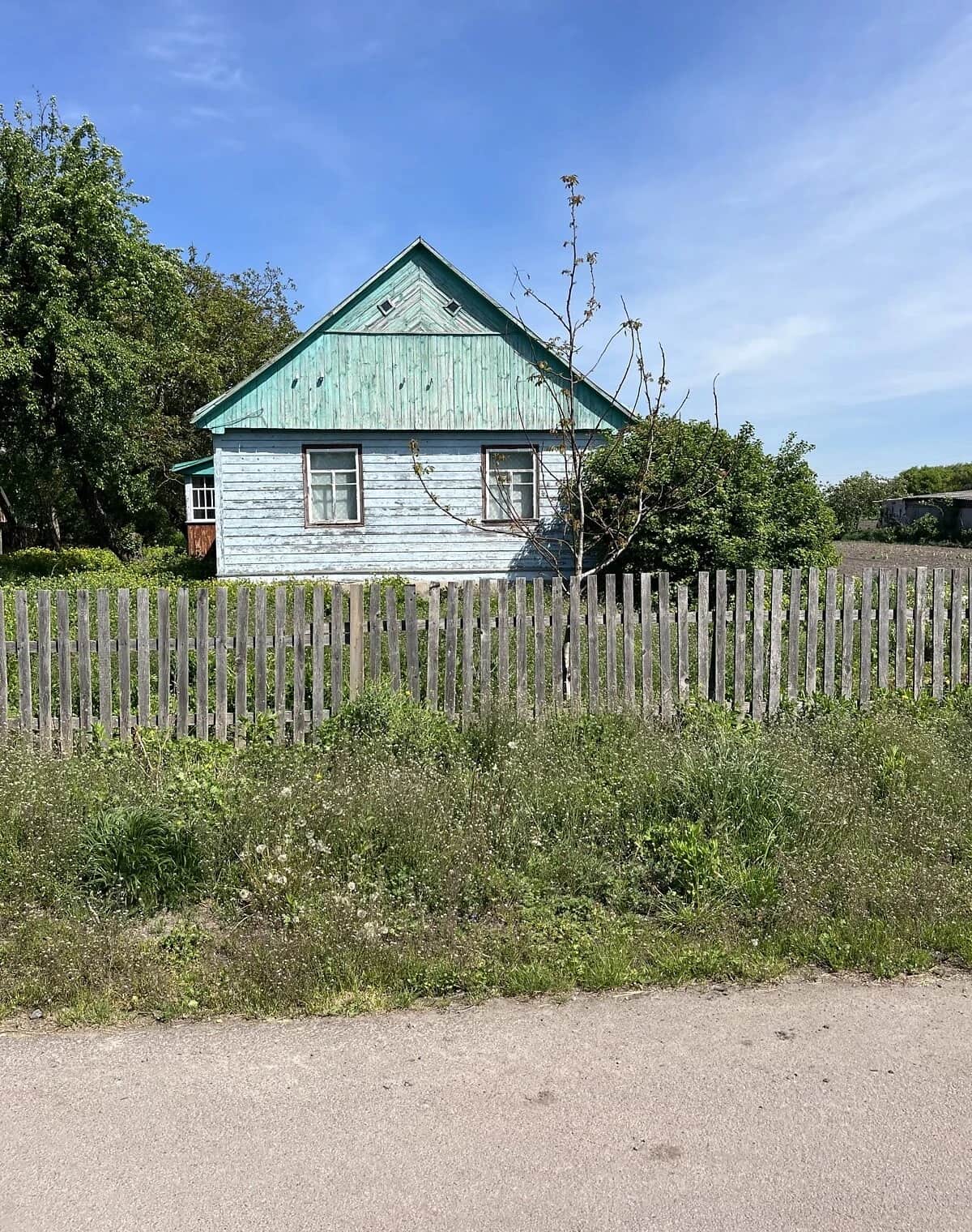 Будинок, Будичани: ділянка 63 сотки, господарські будівлі - фото 1