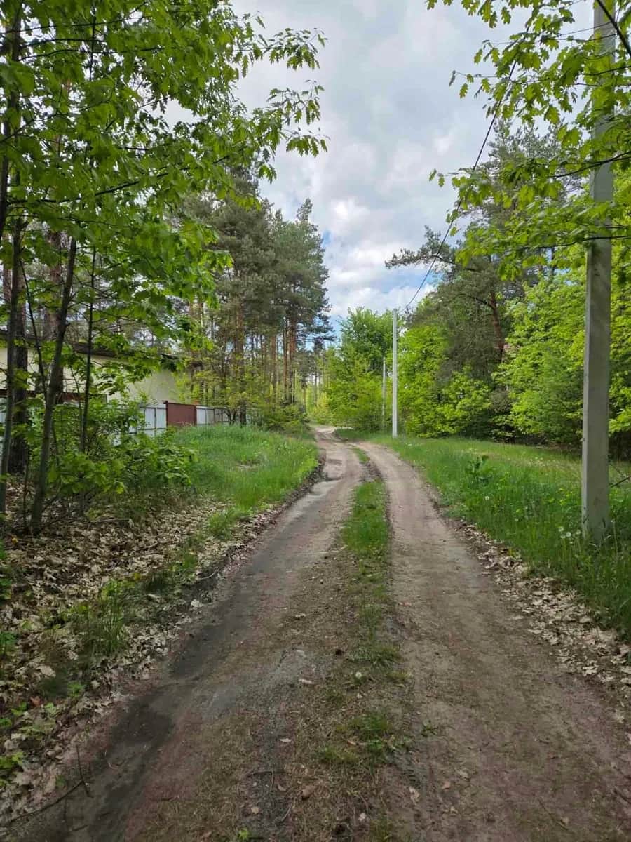 Ділянка 25 соток, Вишеньки: сосновий ліс, газ і електрика - фото 2