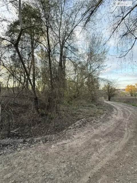 Ділянка 15 соток, Віта-Поштова: під житлову забудову, під гараж, електрика - фото 1