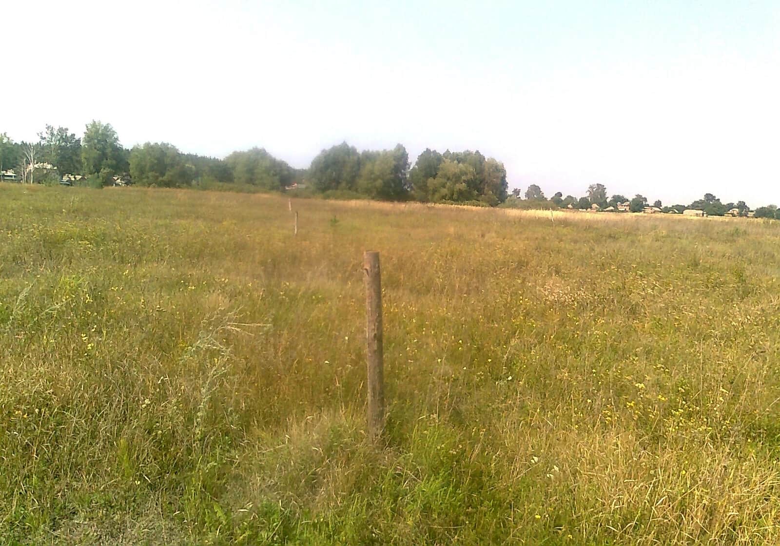 Ділянка 15 соток, Марківка: під житлову забудову, рівнинна - фото 2