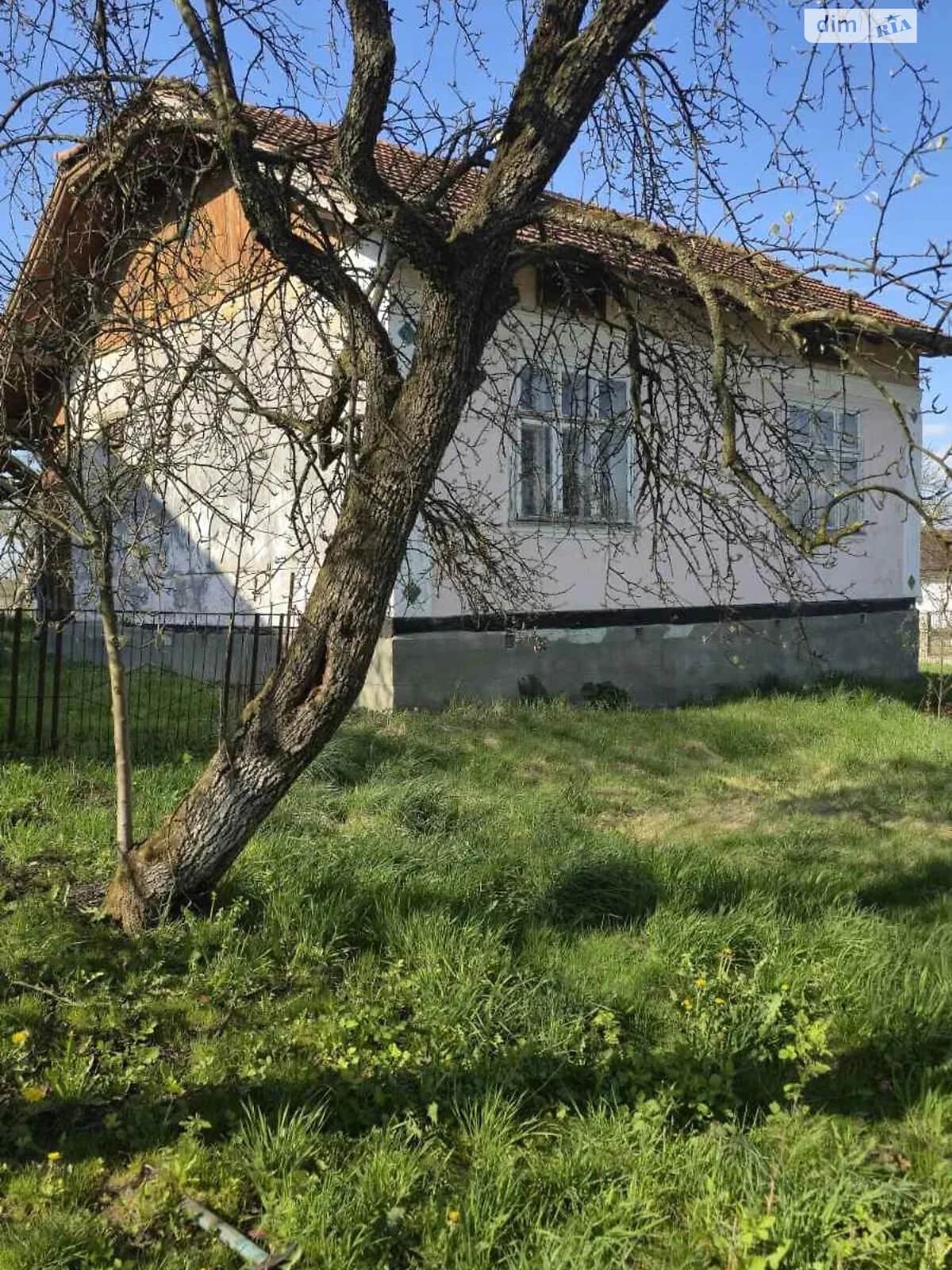 Будинок на Героїв Крут: криниця, цегляні стіни, опалення - фото 2