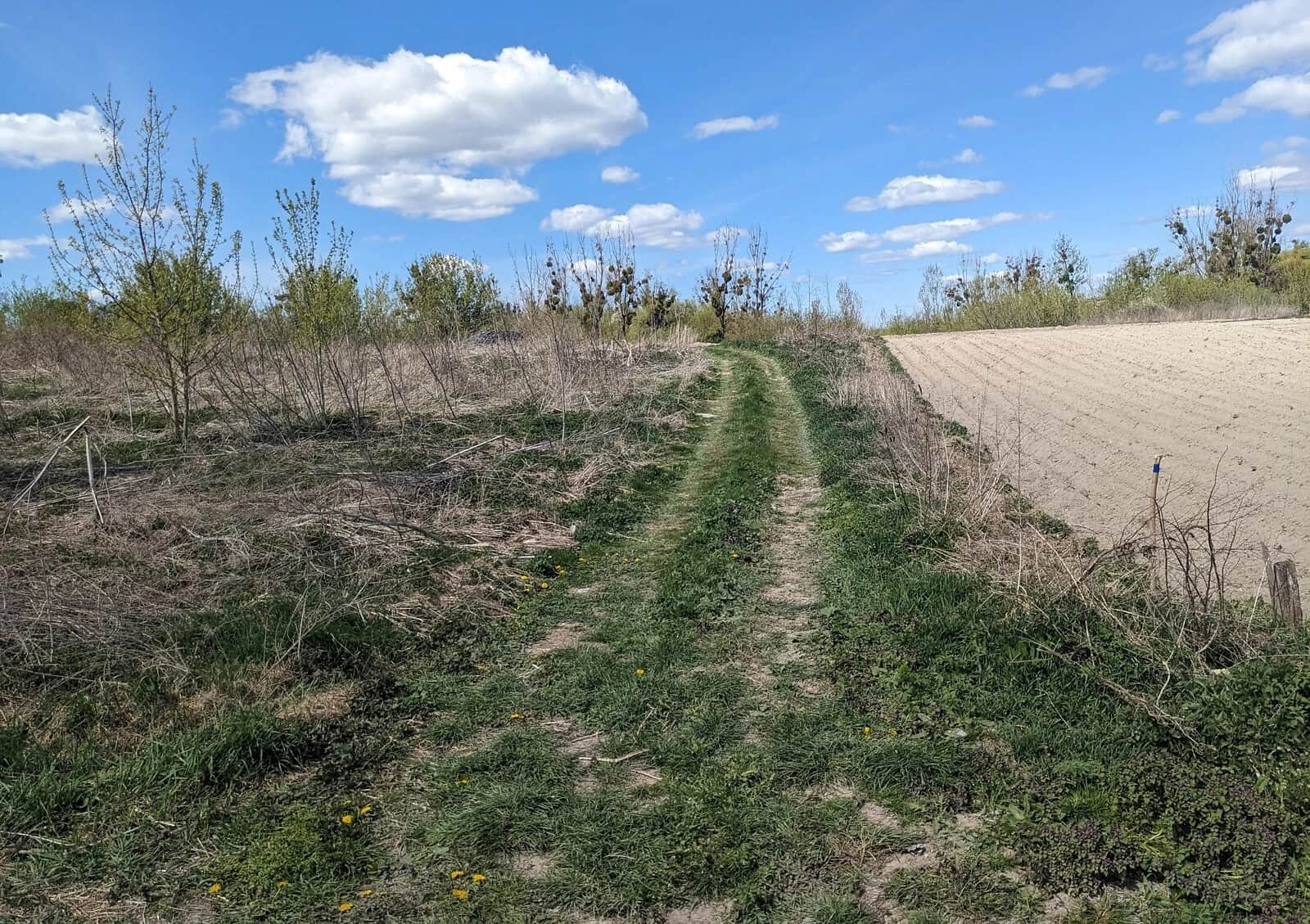 Ділянка 10 соток, Городок: природне озеро, під житлову забудову - фото 2