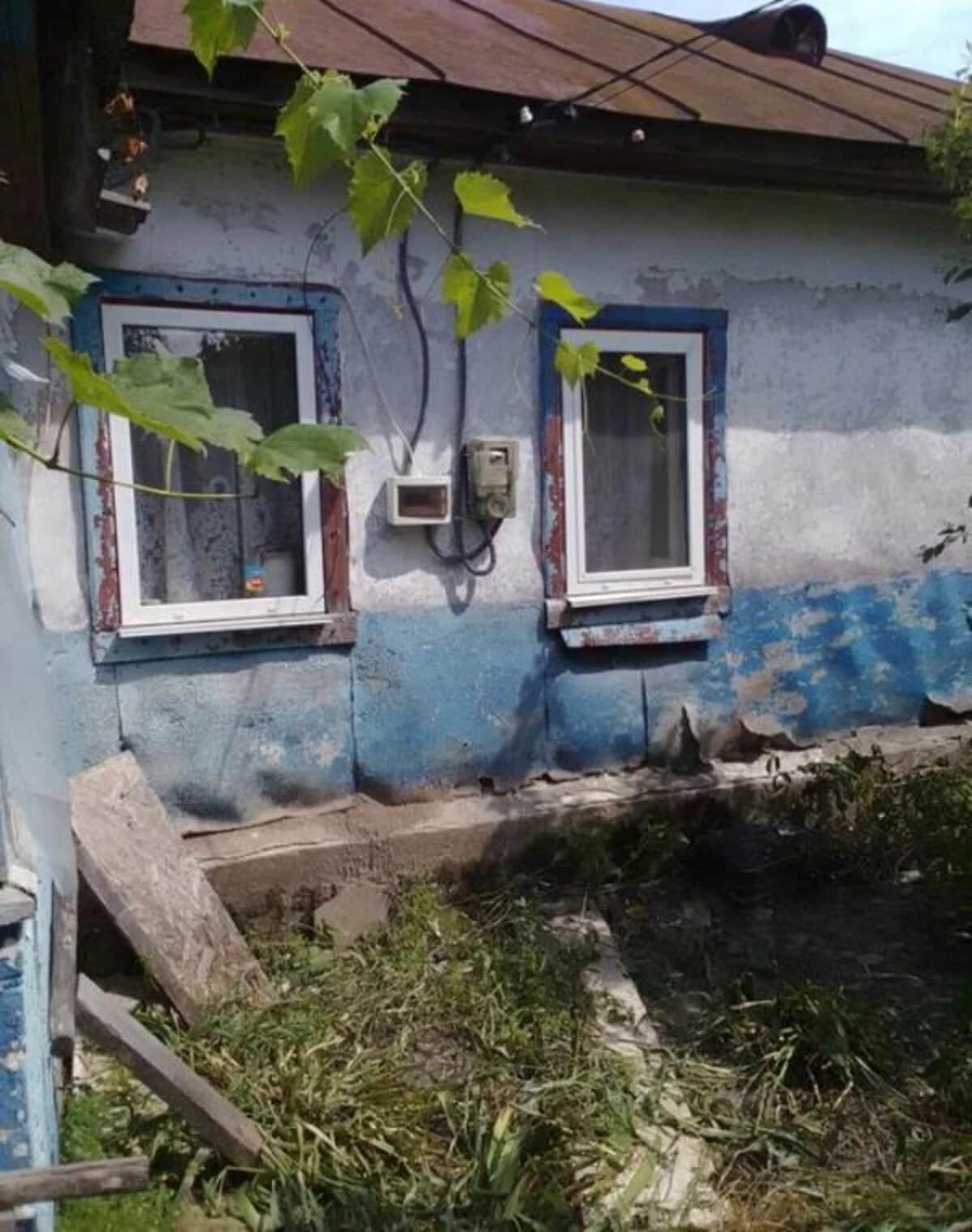 Будинок, Хрещате: ділянка 25 соток, зруб, свердловина - фото 2