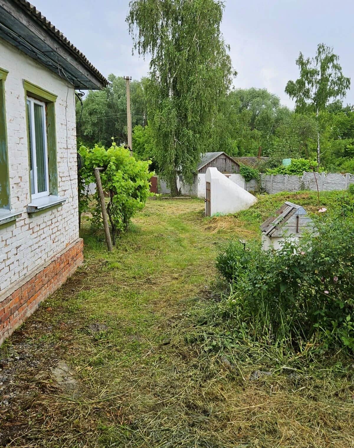 Будинок, Бакланова Муравійка: веранда, 60 соток, опалення - фото 2