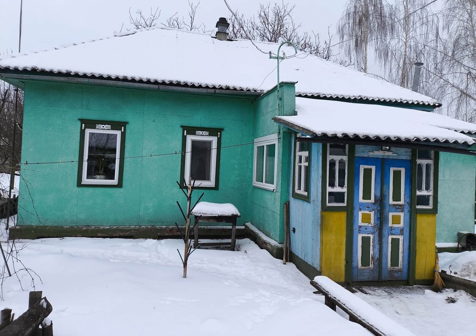 Будинок, Гужівка: 20 соток, гараж у дворі, індивідуальне опалення - фото 1