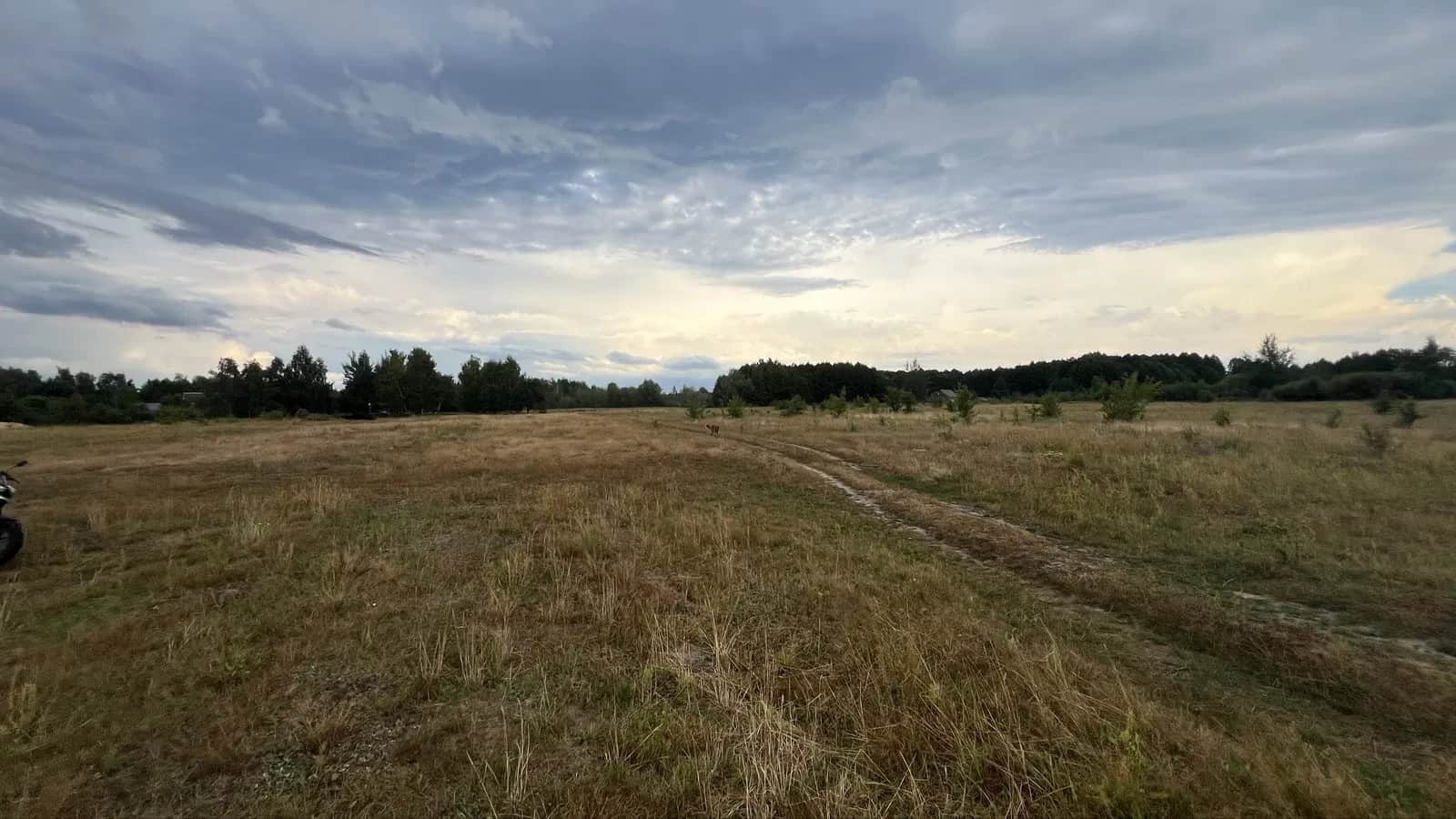 Ділянка 33 соток, Світязь: 3 хв до озера, дозвіл на зміну призначення - фото 1
