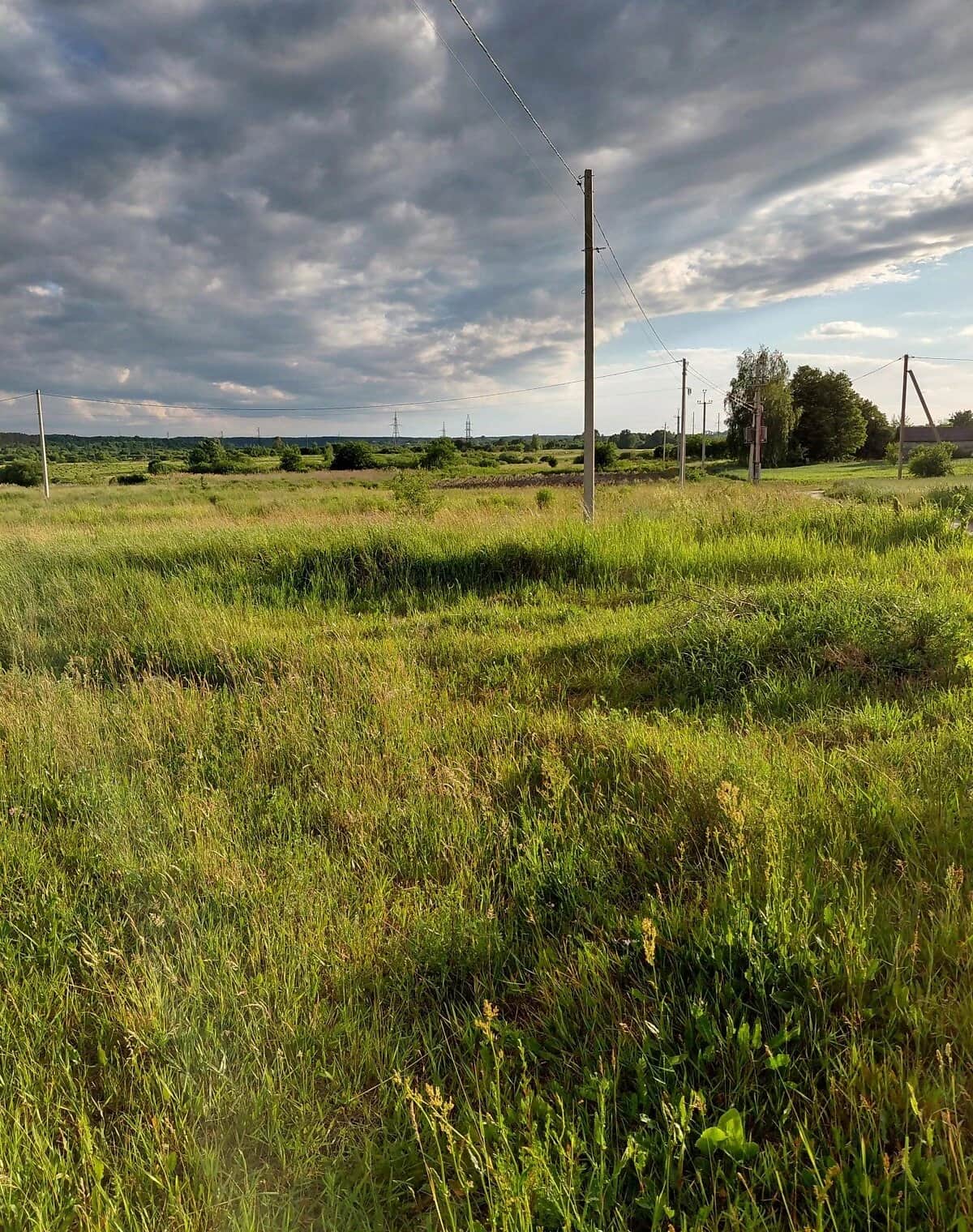 Ділянка 11.2 соток, Пухова: під житлову забудову, під гараж - фото 2