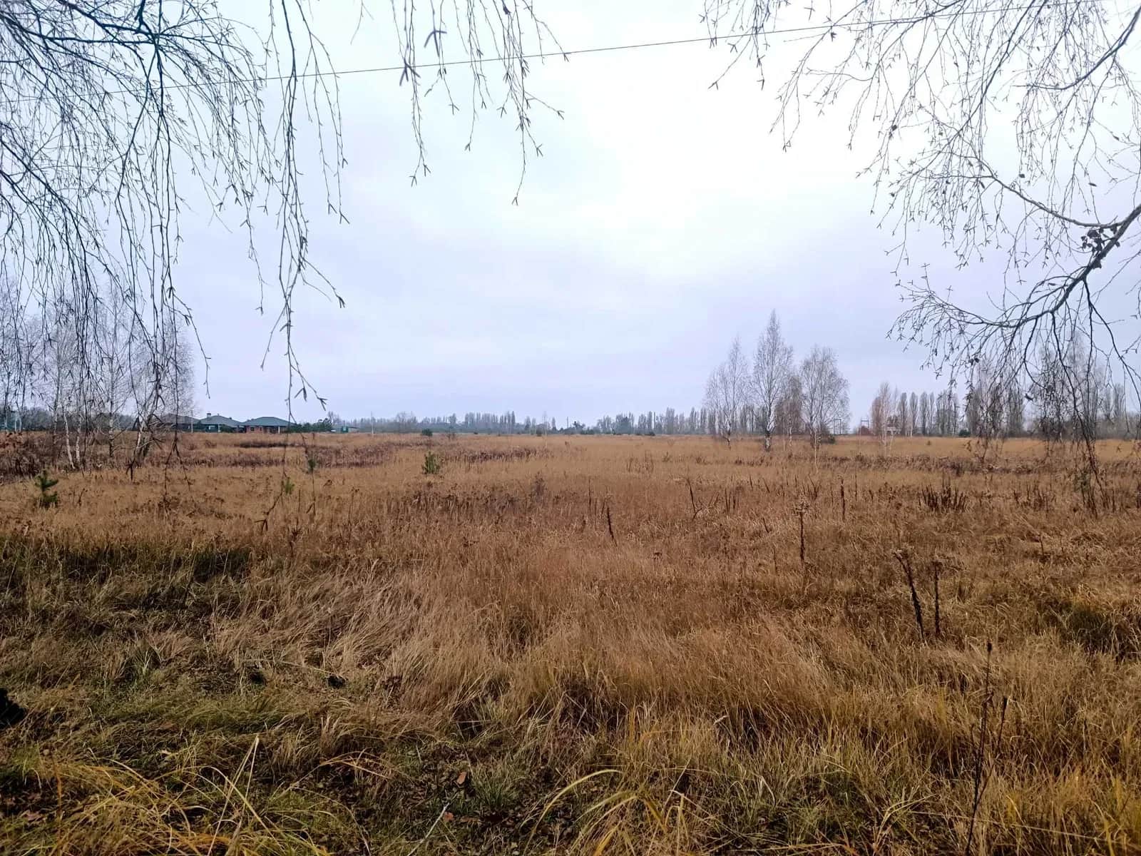 Ділянка 424 соток, Петропавлівське: до 15 га, електрика і газ - фото 2