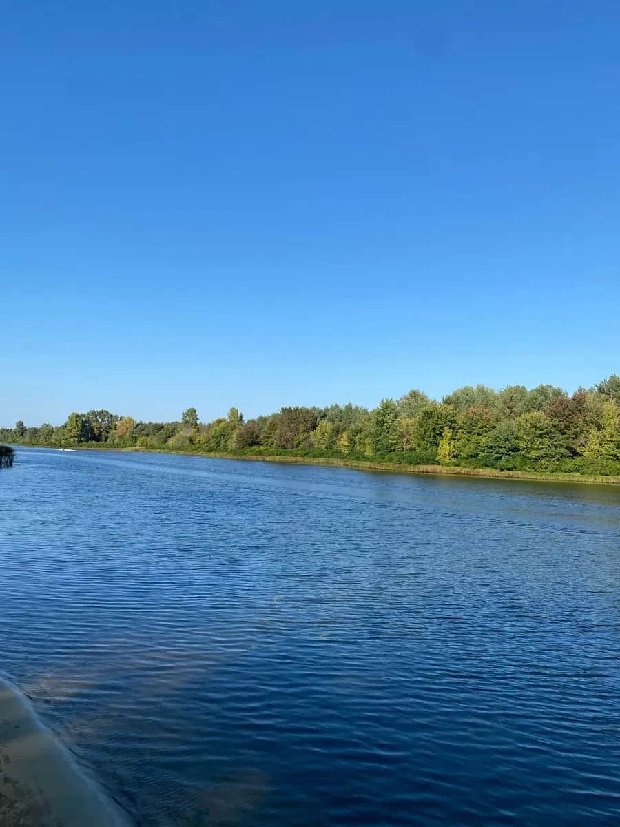 Ділянка 12 соток, Родичі: під забудову, вид на захід - фото 2