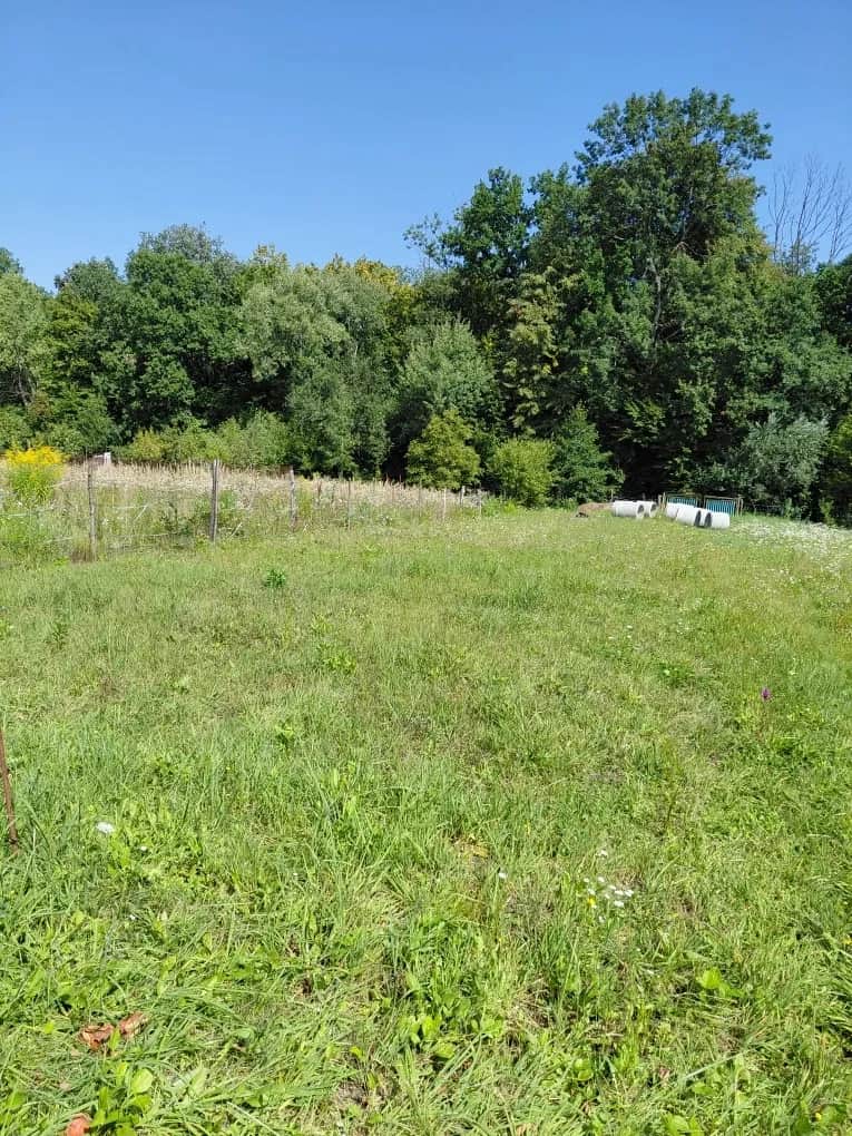 Ділянка 9 соток, Солонка: поруч ліс, в’їзд із Солонки та Біскотті - фото 1