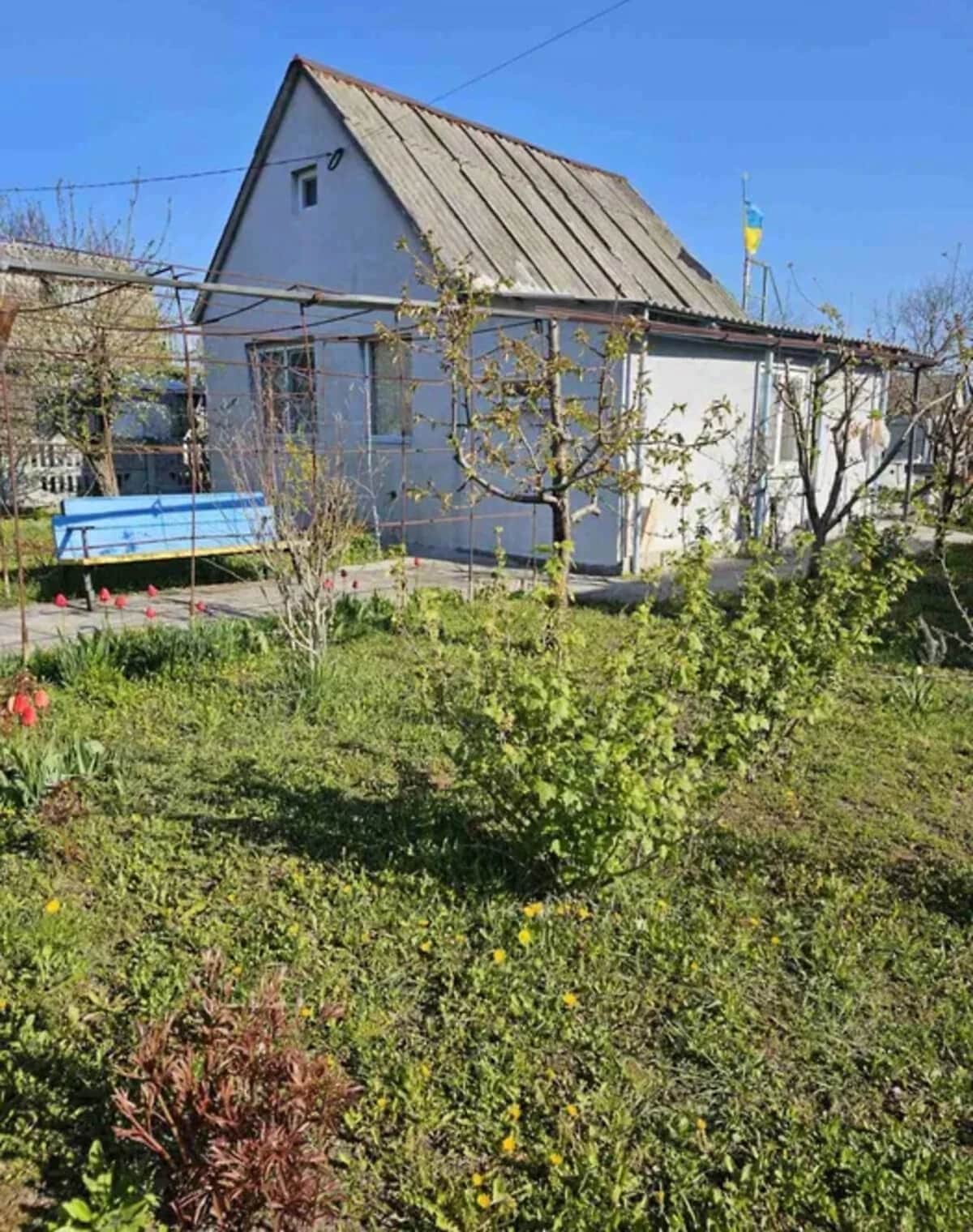 Дача, Власівка: басейн, бесідка, 6 соток - фото 1