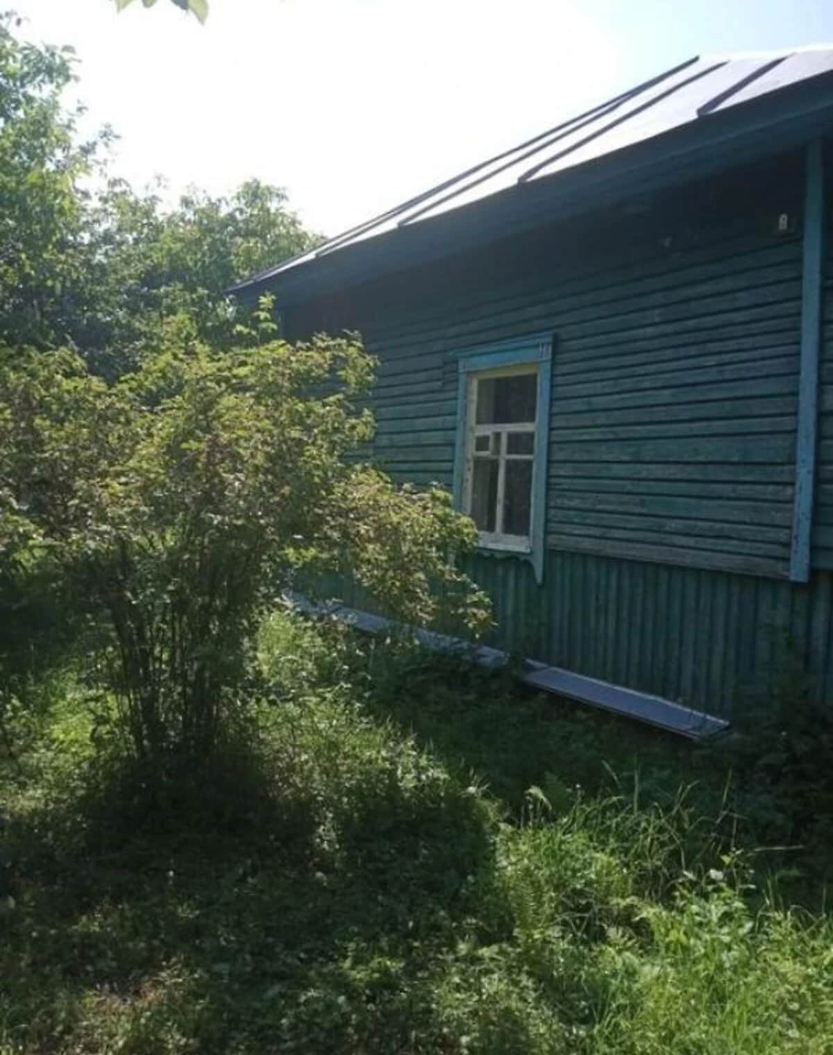 Будинок, Березна: пічне опалення, ділянка 33 сотки, бесідка - фото 1