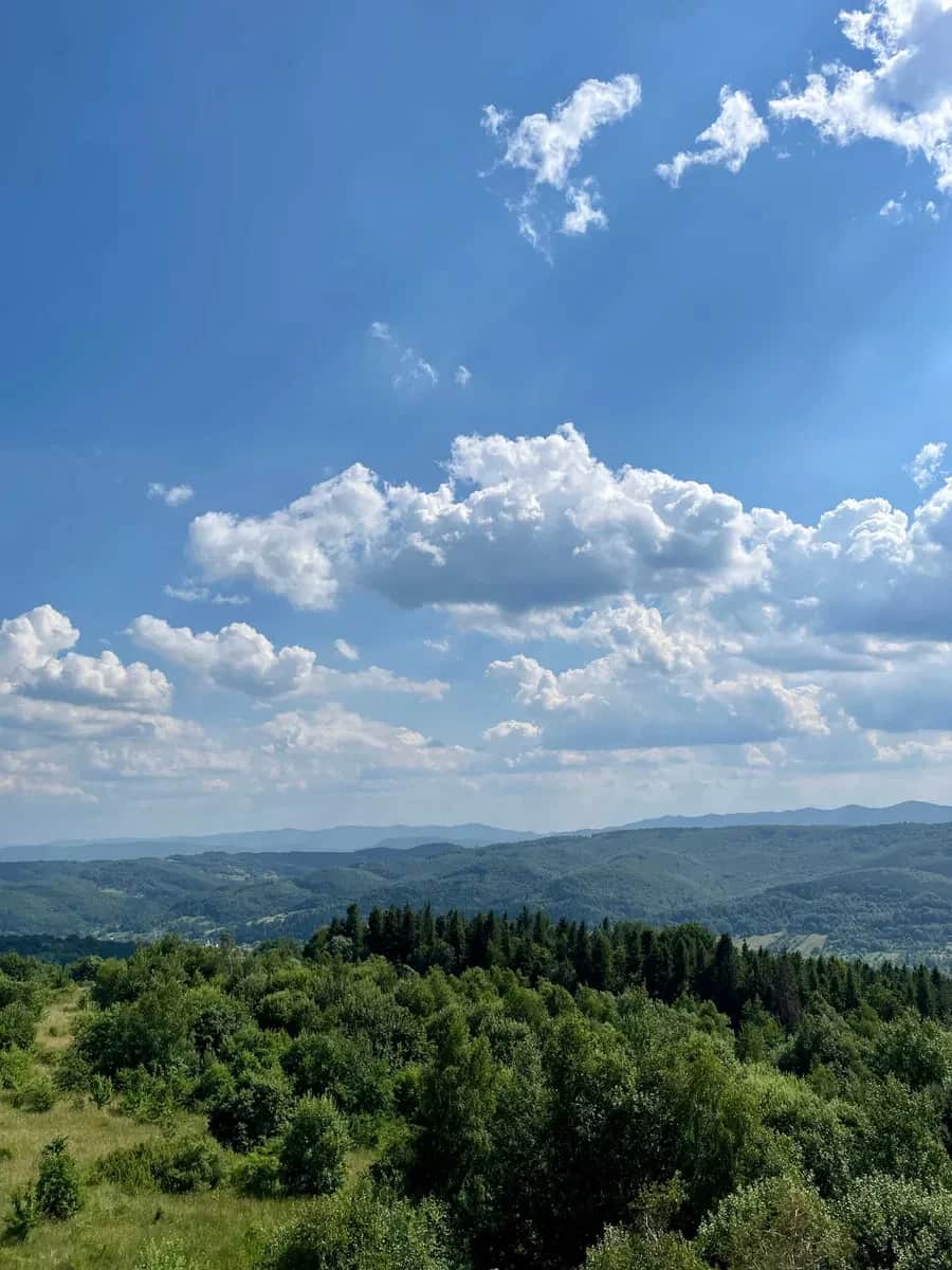 Ділянка 100 соток, Орів: панорама, електрика та вода, торг - фото 1