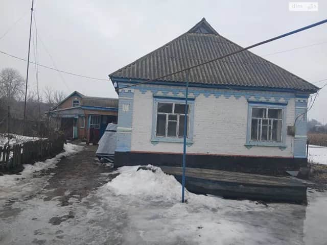 Будинок, Ковалі (Чорнухи): гараж, 40 соток, торг - фото 1