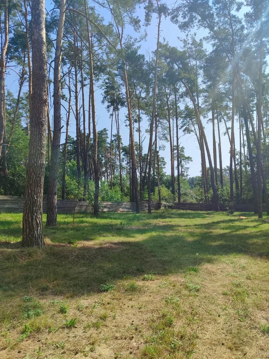 Ділянка 10 соток, Лісова Буча: газ 15 м, каналізація 50 м - фото 1