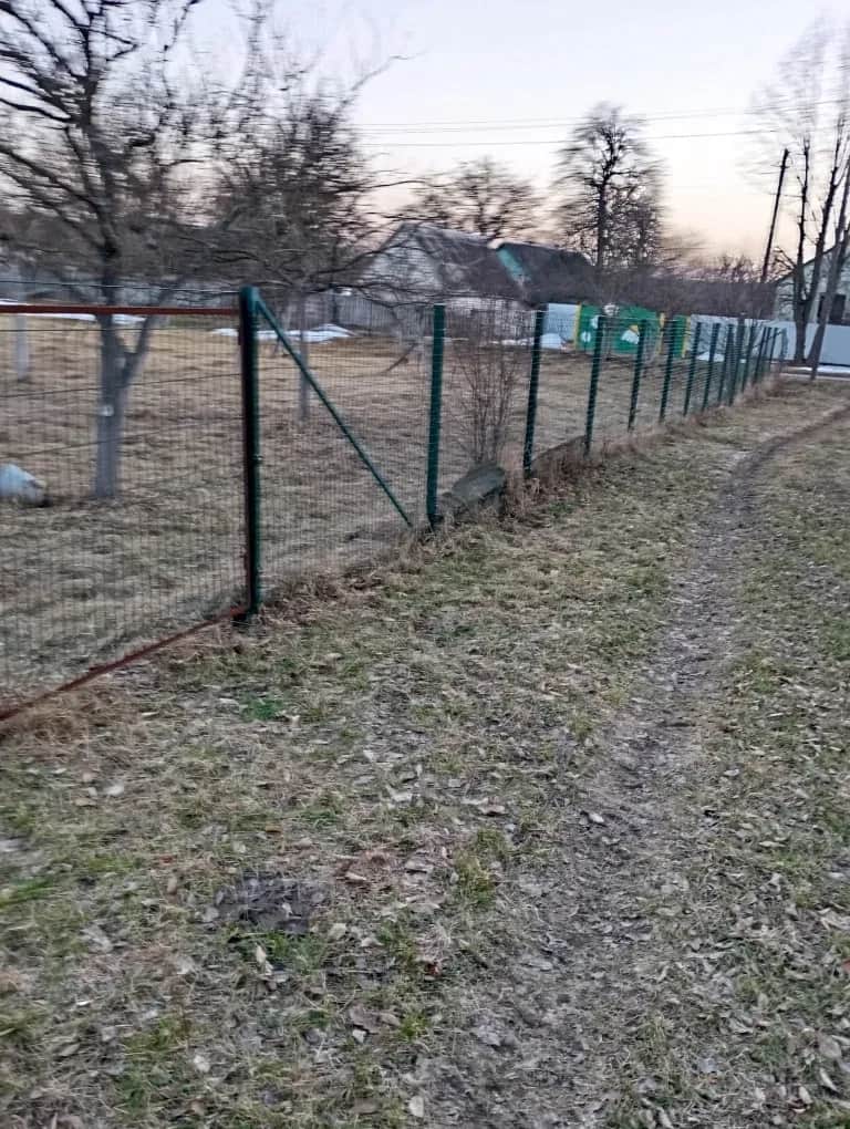 Ділянка 40 соток, Краснобірка: молодий сад, будинок під знос - фото 1