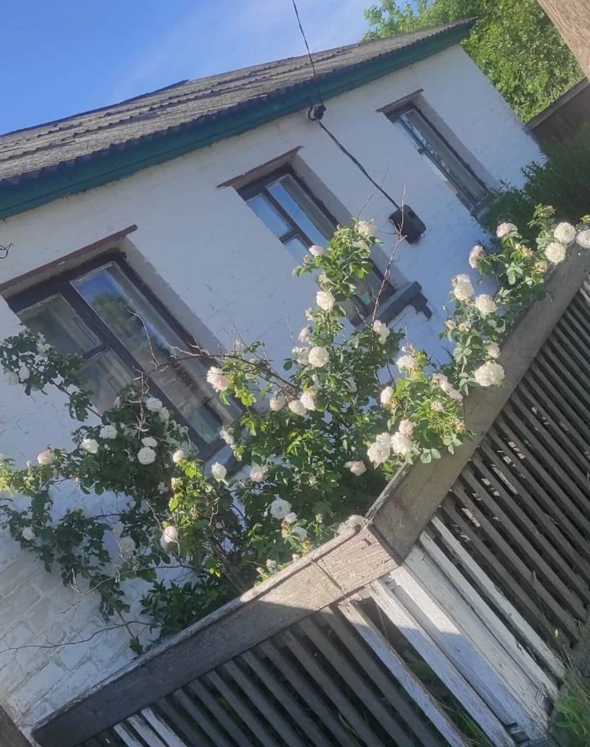 Будинок, Машеве: з меблями, опаленням, торг можливий - фото 2