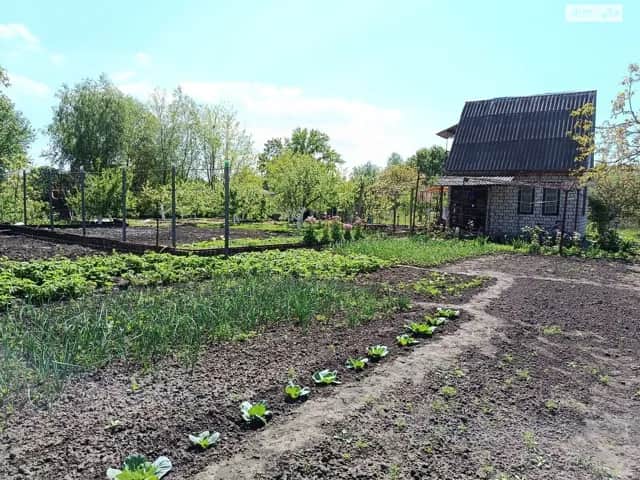 Дача, Світловодськ: поливна система, централізоване опалення - фото 1