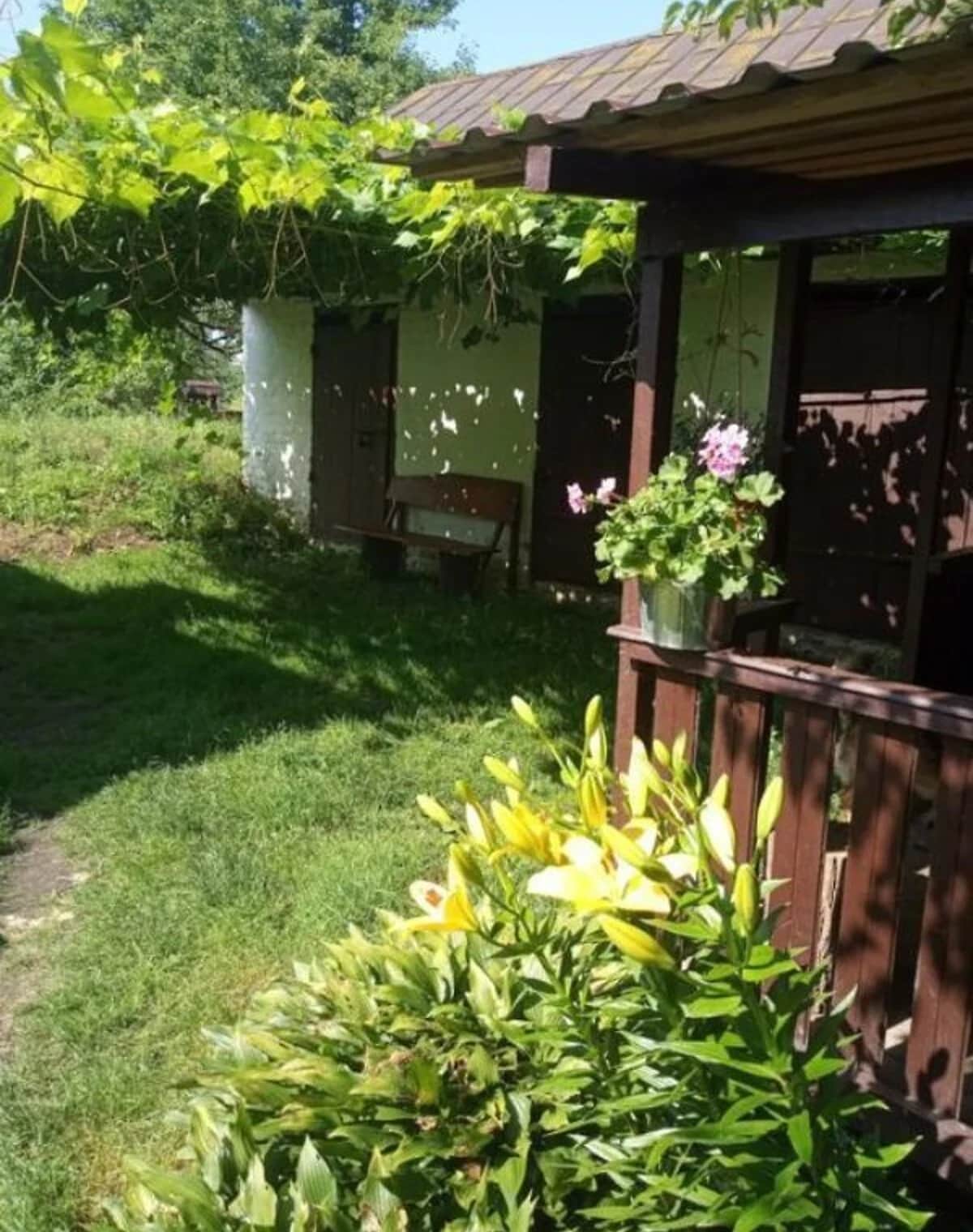Будинок, Березна: пічне опалення, ділянка 33 сотки, бесідка - фото 2