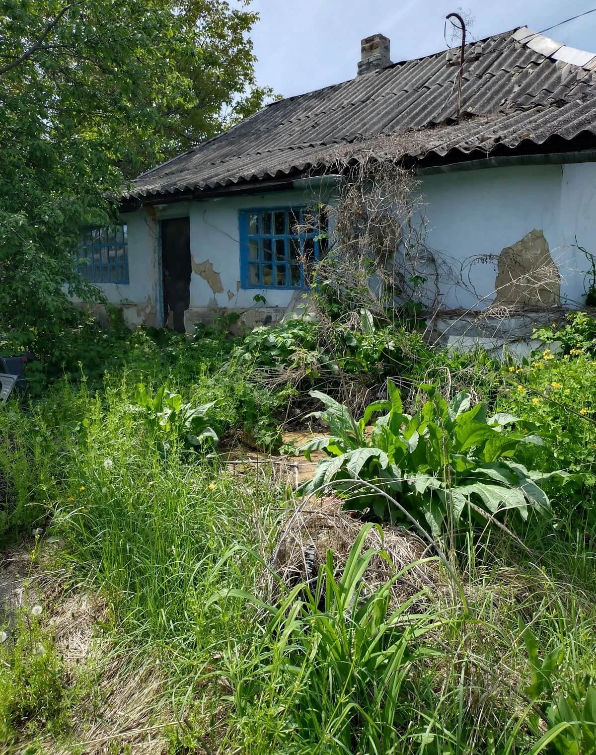Будинок, Діївка-2: ділянка 8.69 сотки, погріб, пічне опалення - фото 1
