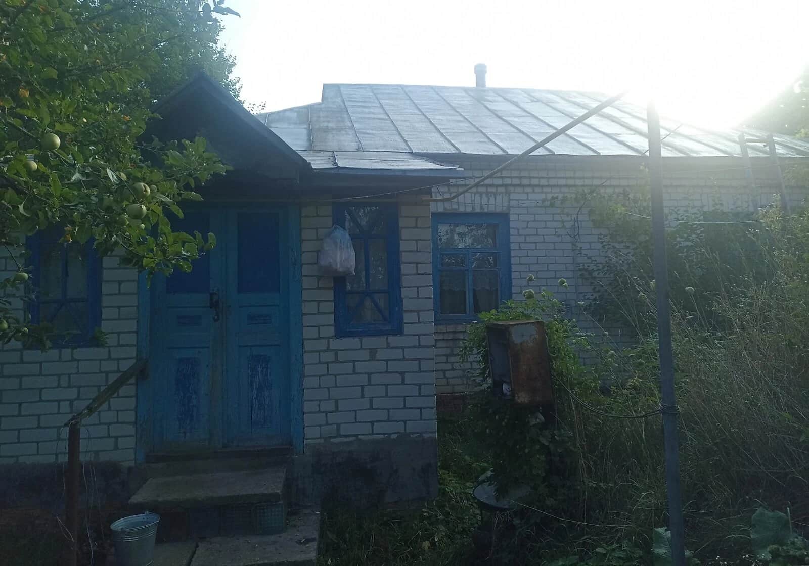 Будинок, Бірківка: 40 соток, індивідуальне опалення - фото 1