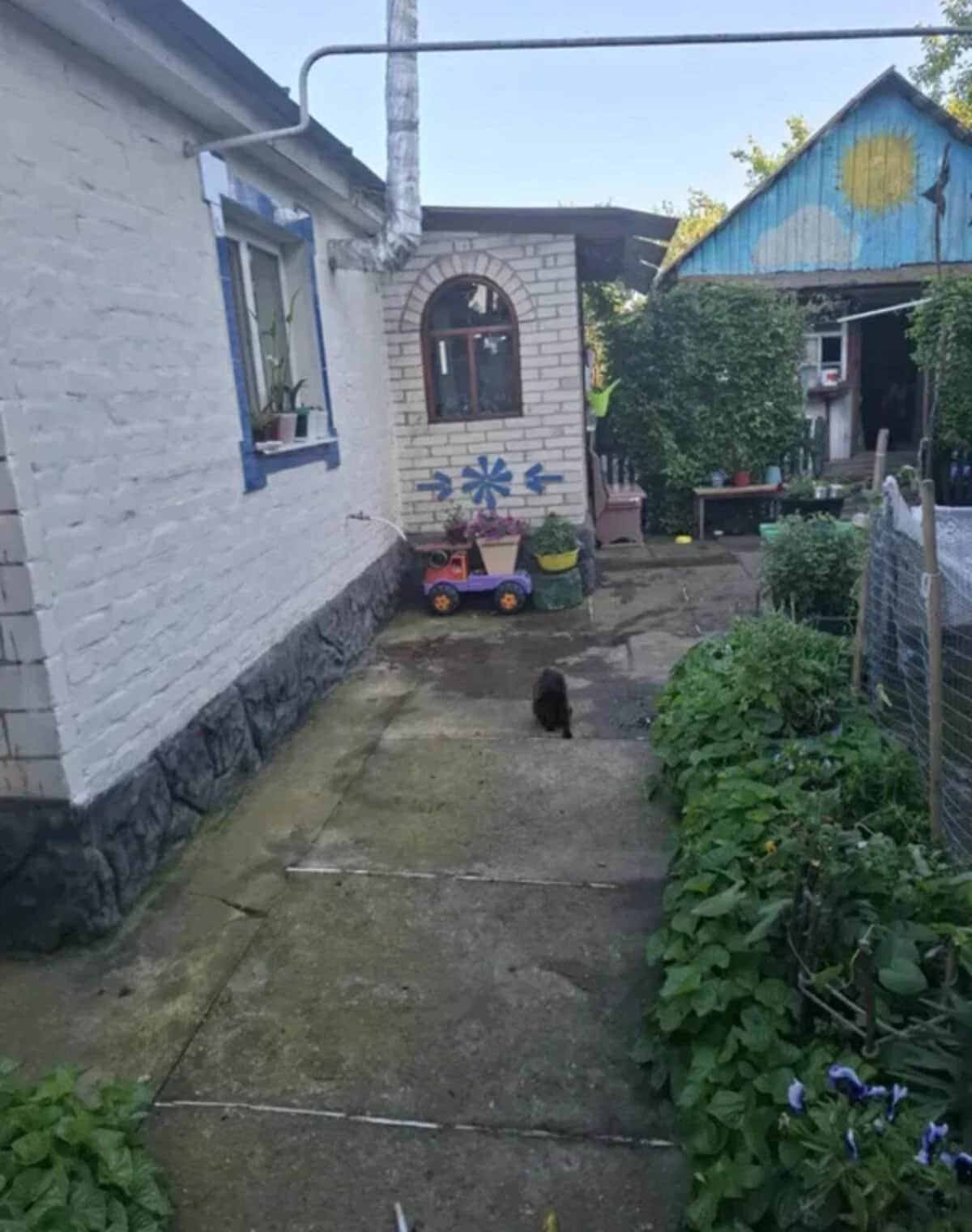 Будинок, Буринь: газове опалення, літня кухня, сад - фото 2