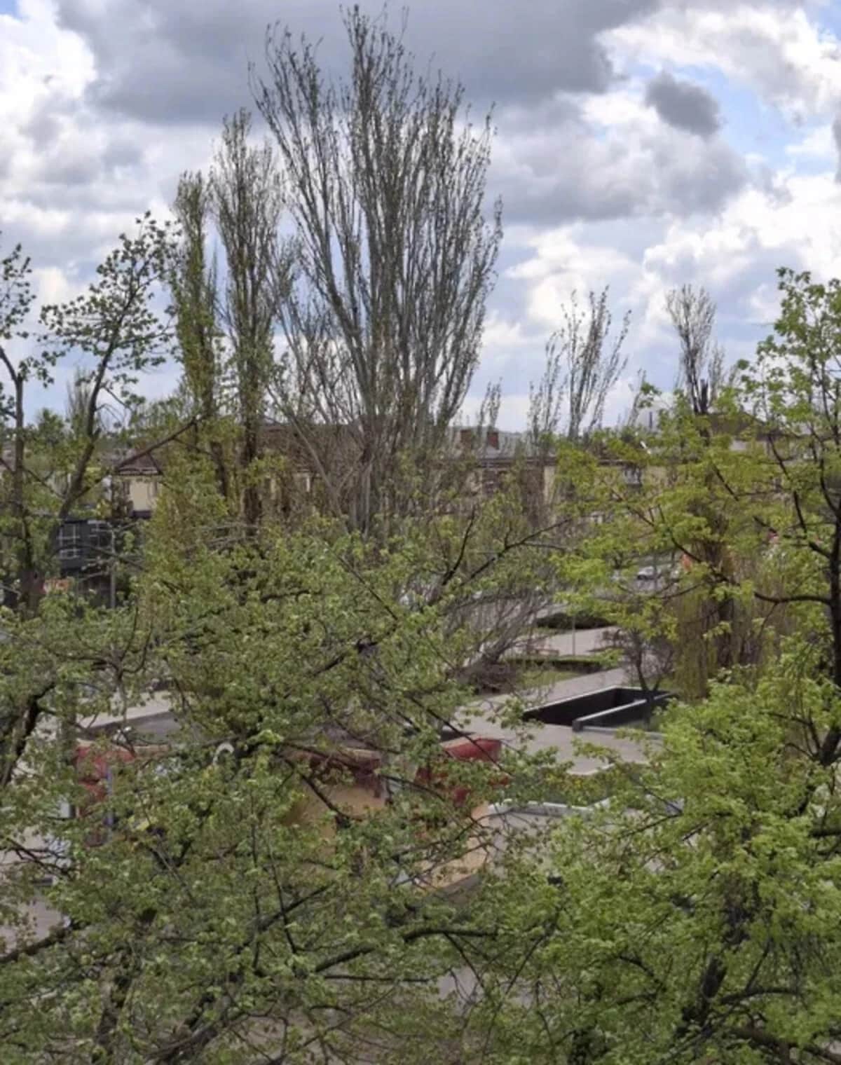 1-кімнатна квартира, Кривий Ріг: кухня-студія, балкон - фото 1