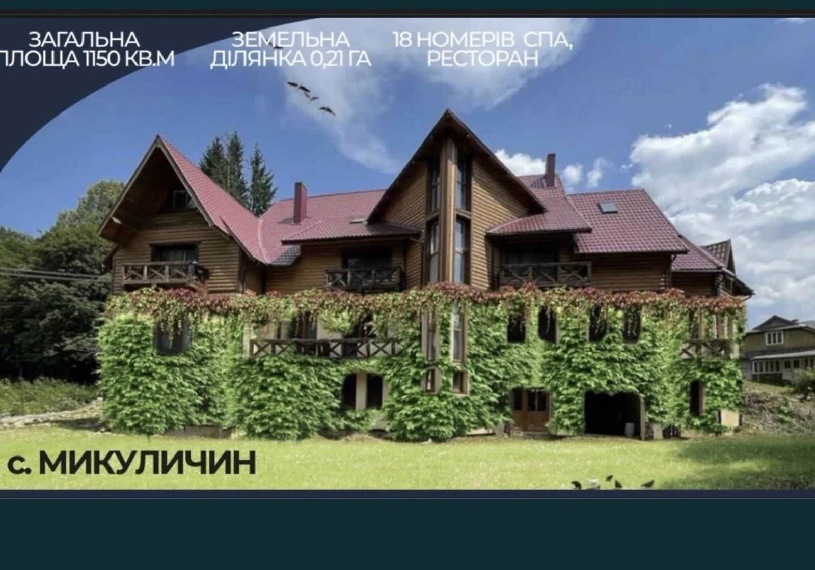 Комерційне приміщення, Микуличин: газ, опалення без світла - фото 1