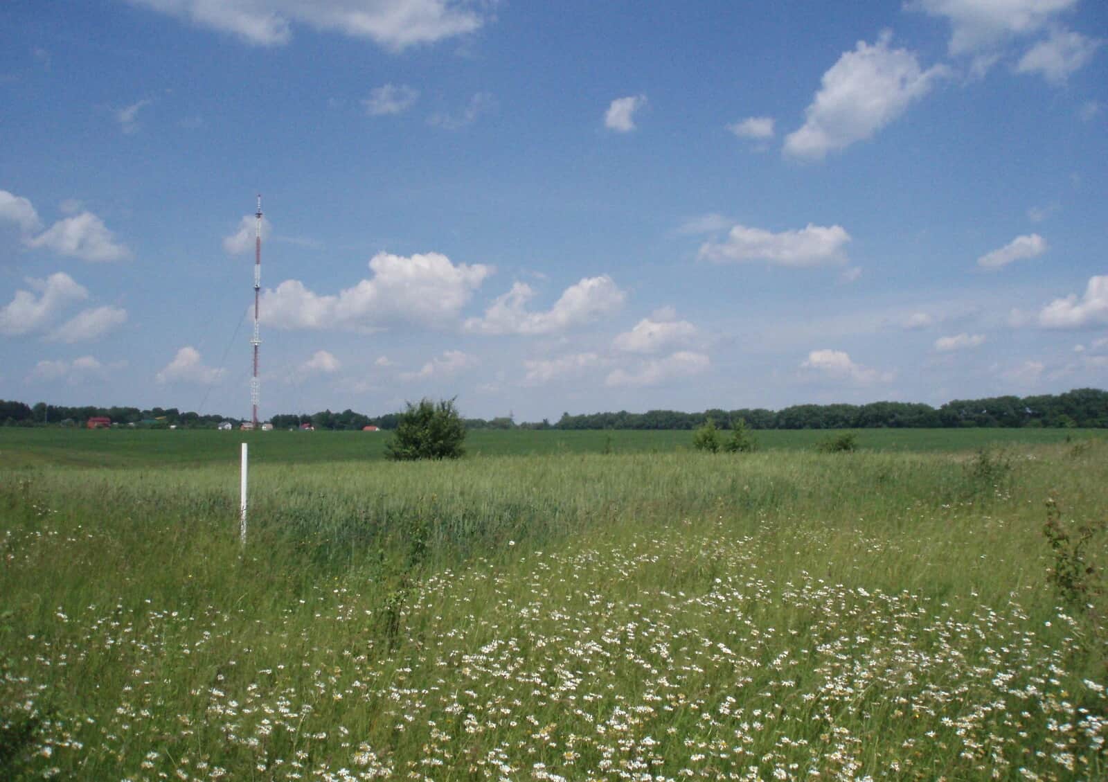 Ділянка 12 соток, Лозова: чорнозем, під гараж, 50 × 24 м - фото 1