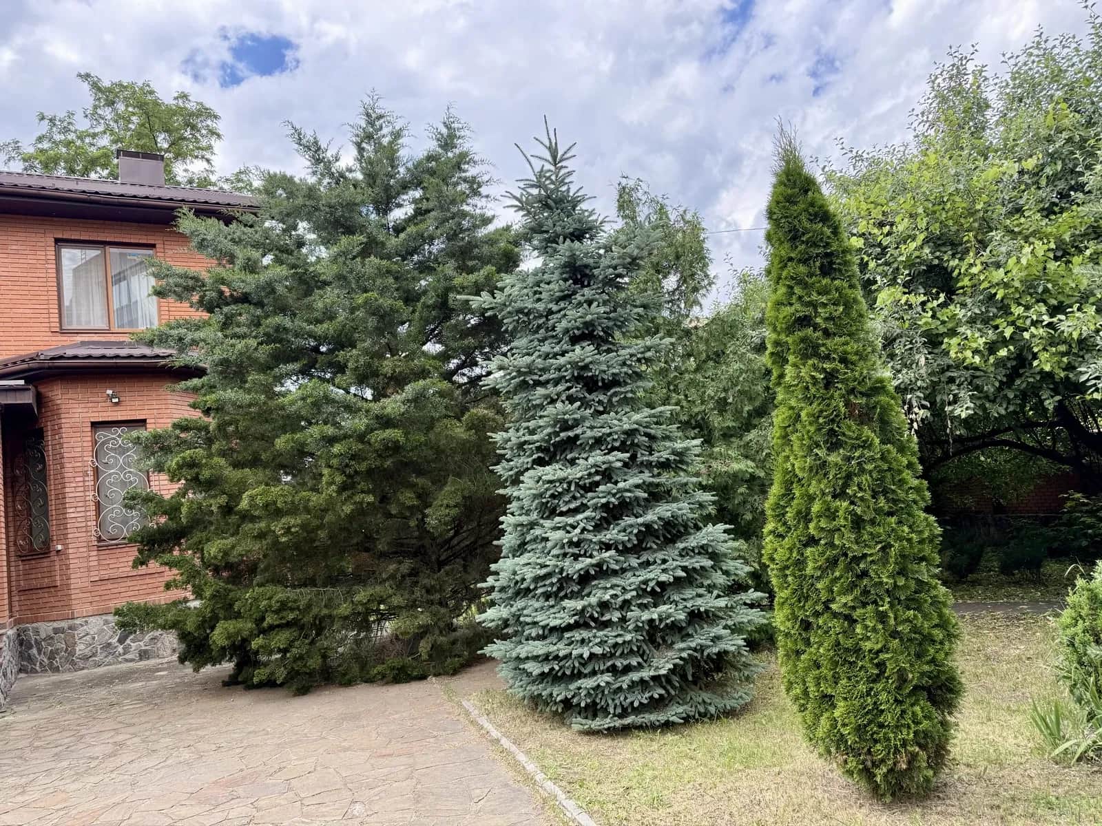 Котедж, Київський: бомбосховище, 10 соток, метро Студентська 550 м - фото 2