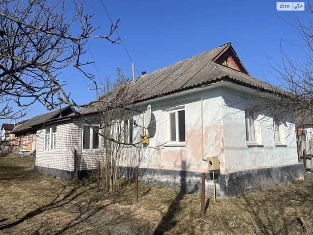 Будинок, Деражня: цегляні стіни, свердловина - фото 1