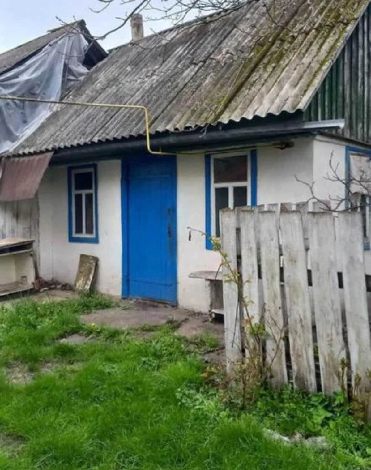 Будинок, Талалаївка: 35 соток, літня кухня, свердловина - фото 2