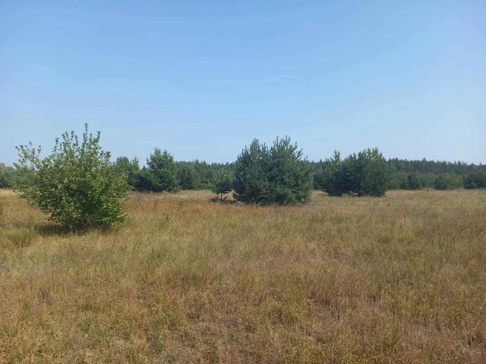 Ділянка 20 соток, Абрамівка: поруч ліс, електрика - фото 2