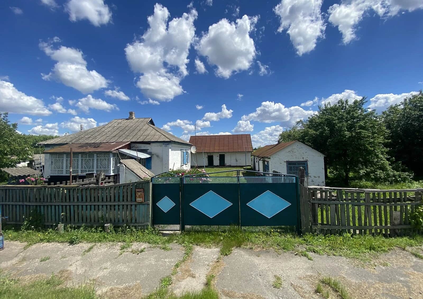 Будинок, Софіївка (Золотоноша): гараж із підвалом, 60 соток, торг можливий - фото 1