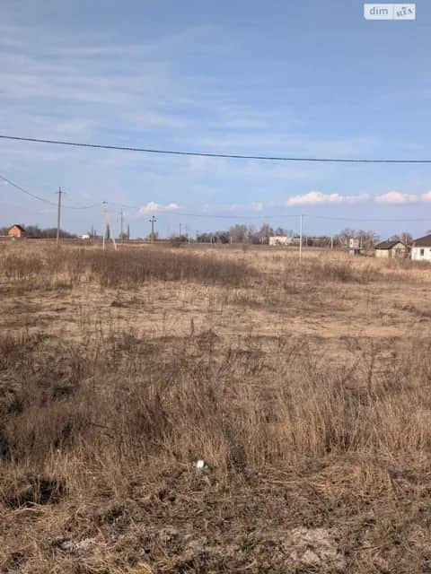 Ділянка 15 соток, Гоголів: під житлову забудову, електрика - фото 1