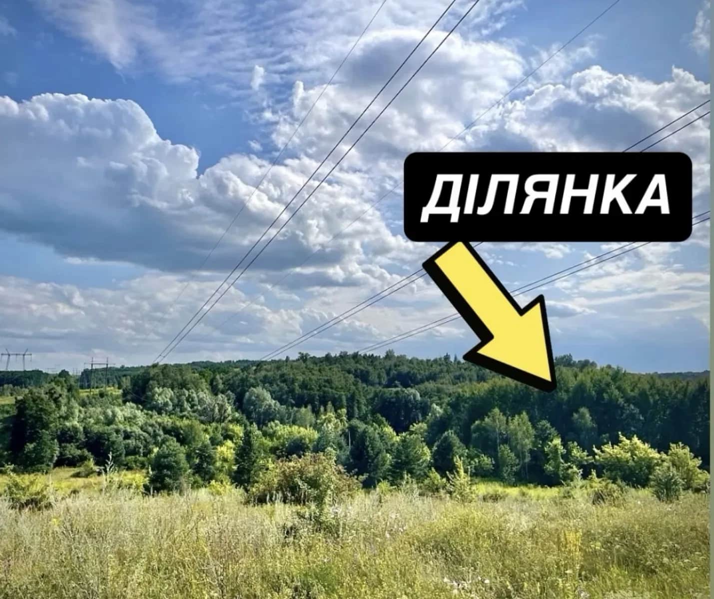 Ділянка 15 соток, Рославичі: світло на ділянці, газ по вулиці - фото 2