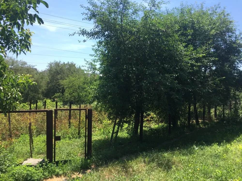 Ділянка 20 соток, Половки (Яр): під забудову, обмін на квартиру - фото 2