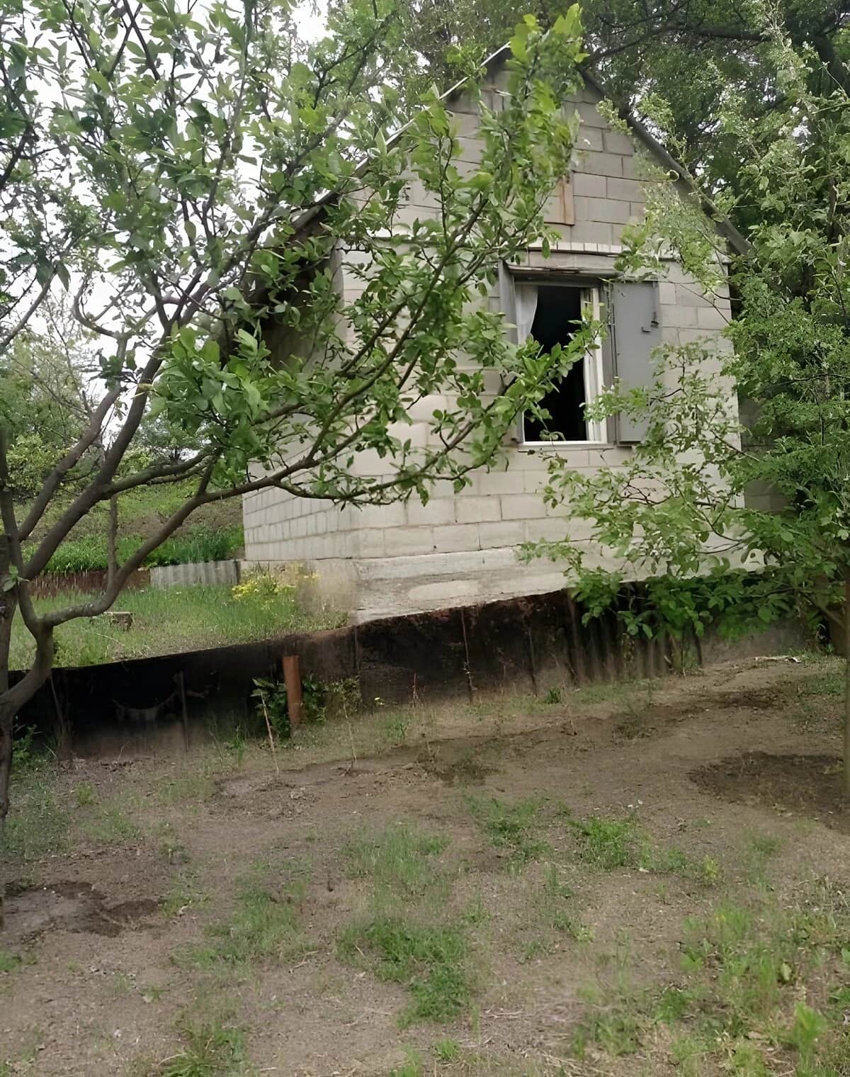 Дача, Августинівка: ділянка 6 соток, сад і город - фото 1