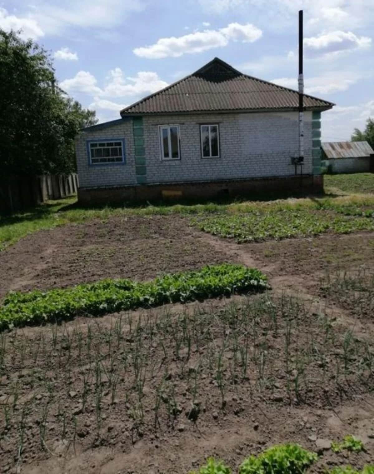 Будинок, Куликівка: 12 соток, пічне опалення, сад і сарай - фото 1