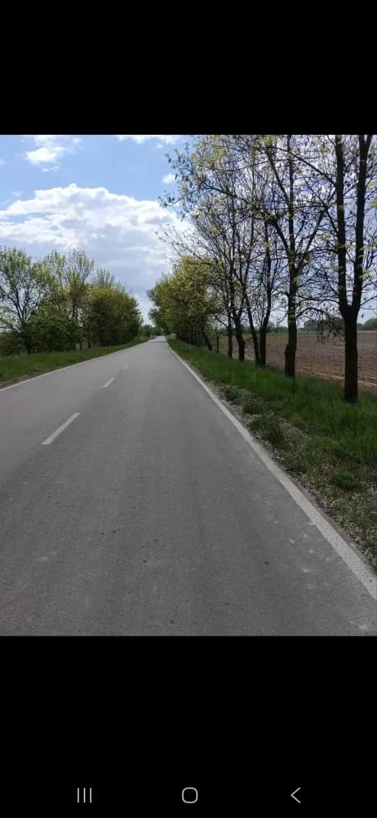 Ділянка 300 соток, Дударків: до Борисполя 10 км, електрика - фото 1