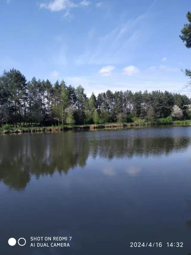 Фермерське господарство, Гуменне: зона відпочинку, 7 га лісу - фото 2
