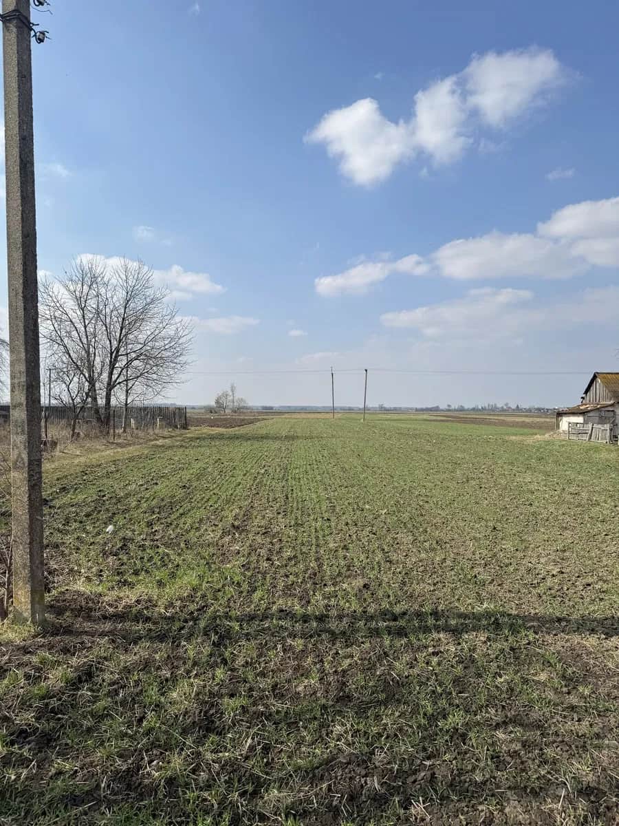 Ділянка 25 соток, Вербаїв: світло над ділянкою, газ за 4 м - фото 1