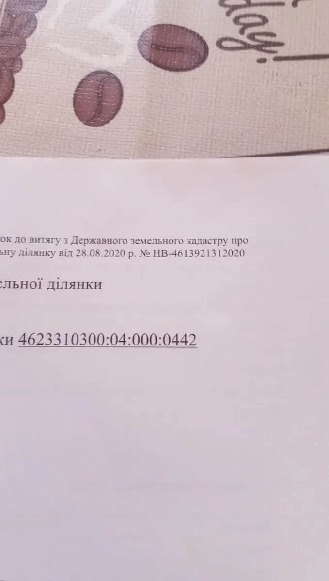 Ділянка 50 соток, Шпильчина: світло за 500 м, ліс за 1 км - фото 1