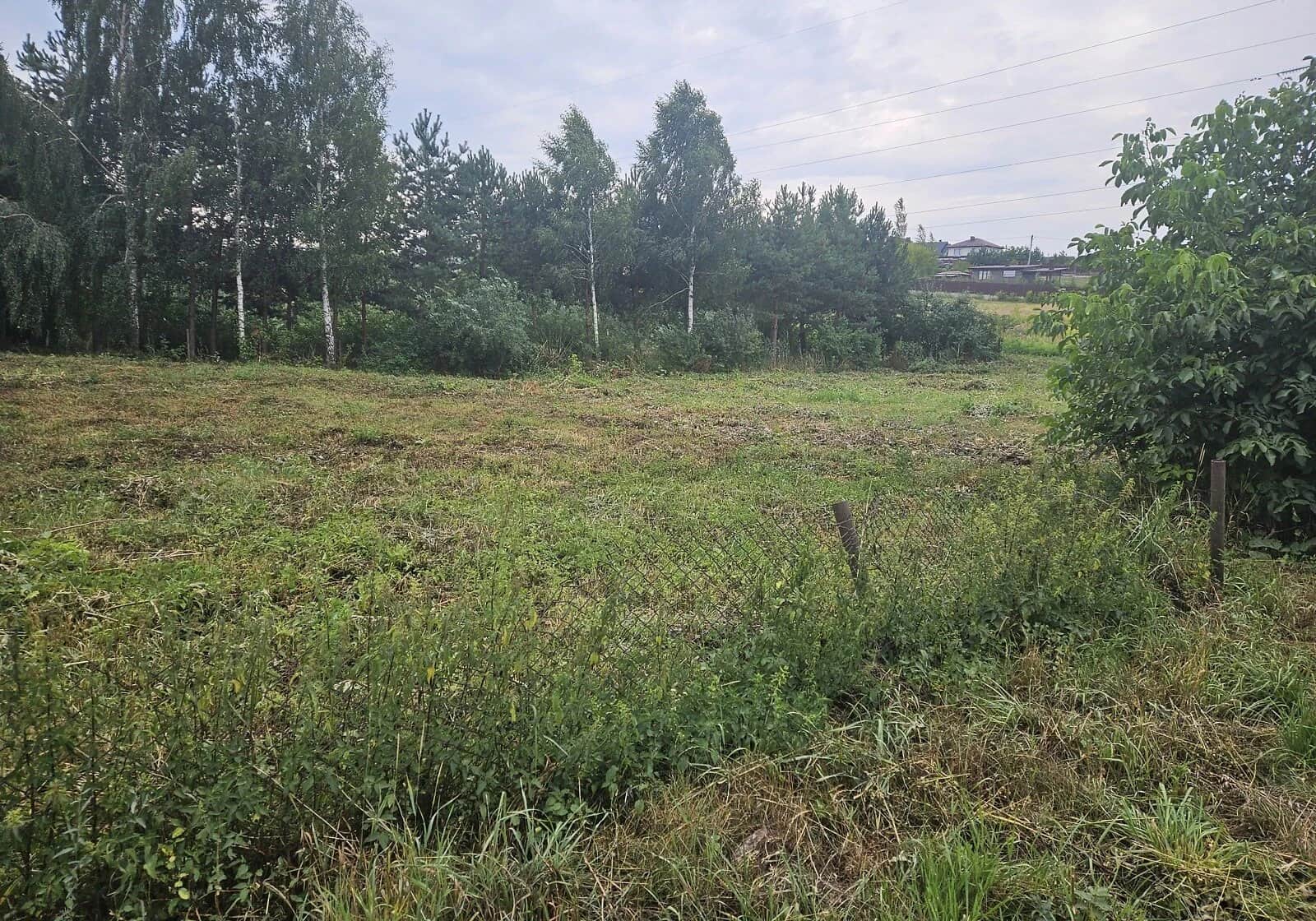 Ділянка 42 соток, Красне: житлова забудова, гараж, торг - фото 1