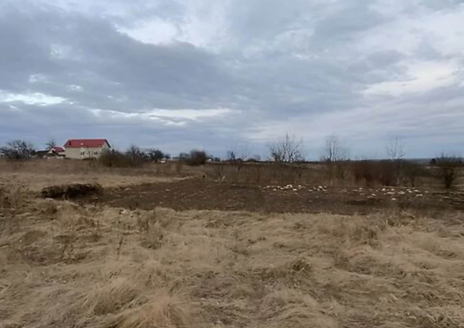 Ділянка 6 соток, Книжківці: чорнозем, рівнинний рельєф - фото 1