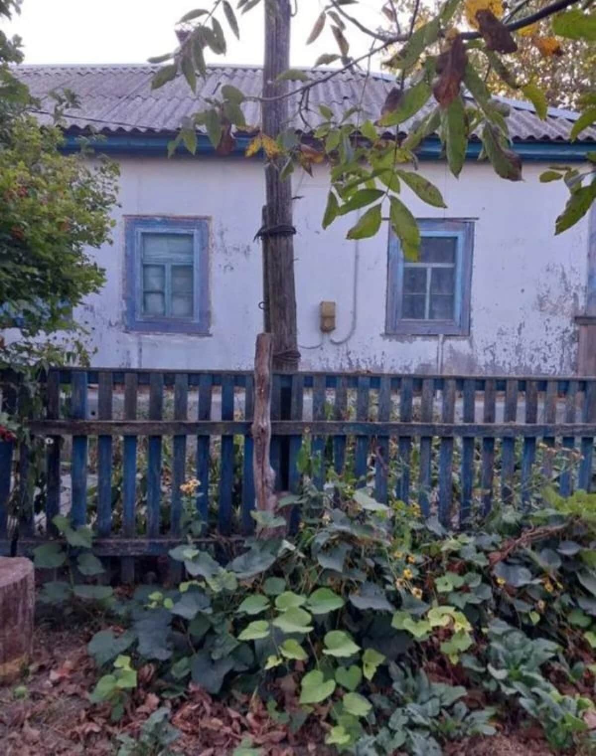 Будинок, Оболоння: гараж, 33 сотки, тераса - фото 1