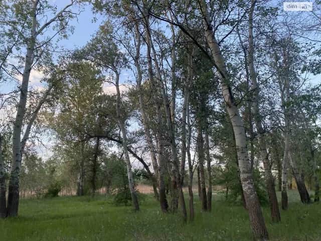 Будинок, Обухівка: дизайнерське оформлення, єОселя - фото 1