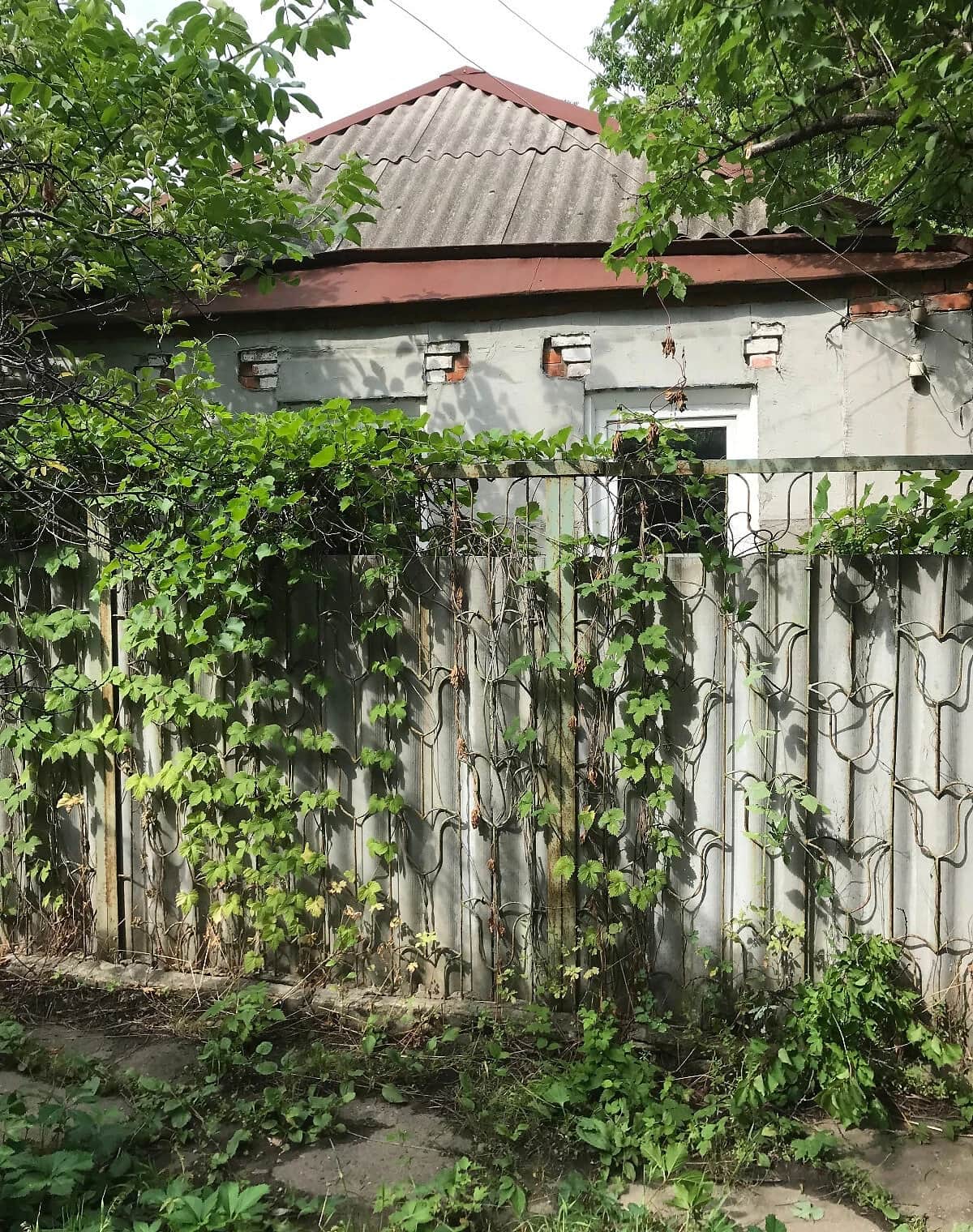 Будинок, Східний: гараж, город і єВідновлення - фото 1