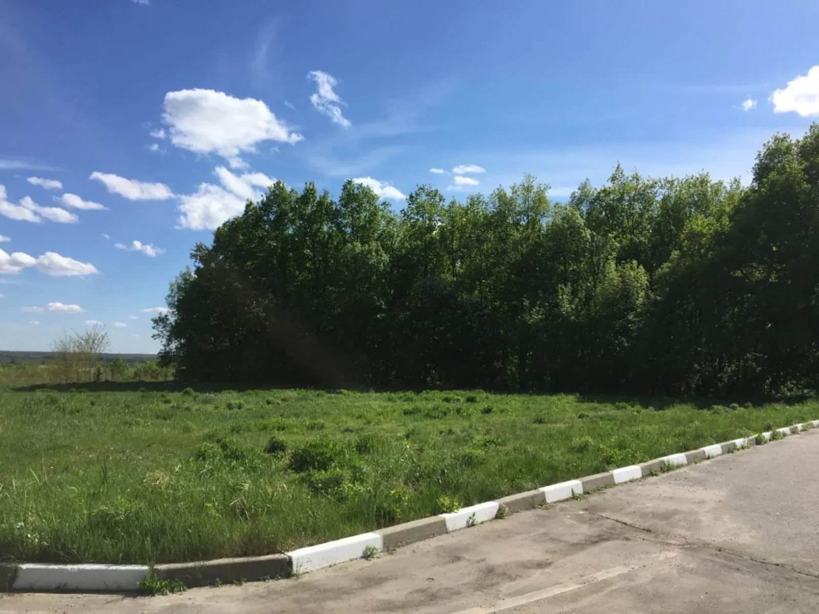 Дві ділянки 45 соток, Високий: дубовий ліс, 300 м до «Сохо» - фото 2